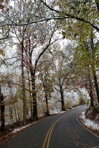 Seasons Embrace: A Journey Through Winter and Fall