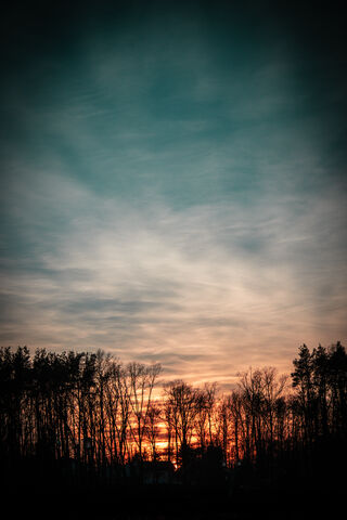 Serene Winter Twilight 🌅❄️