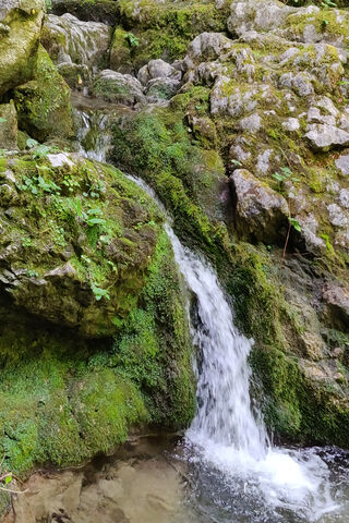 Nature's Serene Cascade 🌿💧