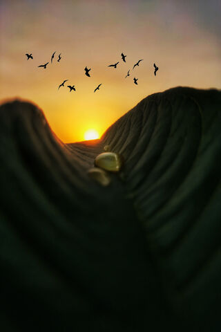 Nature's Gem: The Waterdrop at Sunset 🌅💧