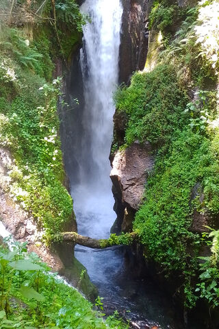 Nature's Refreshing Cascade 🌊🍃