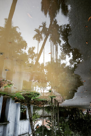 Nature's Mirror: A Serene Reflection