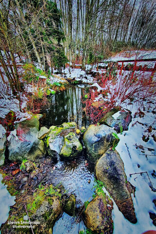 Serenity in the Snow: A Winter's Reflection
