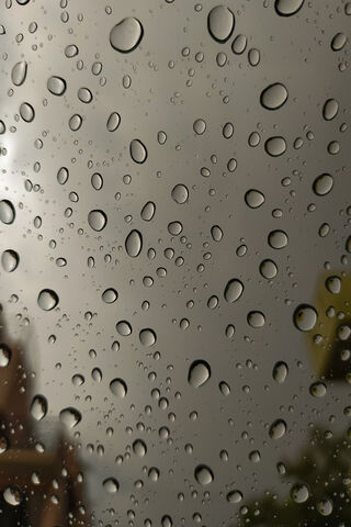 Nature's Crystal Orbs: A Rainy Day Delight 🌧️💧