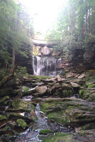Nature's Cascade: A Serene Waterfall Escape 🌊🍃