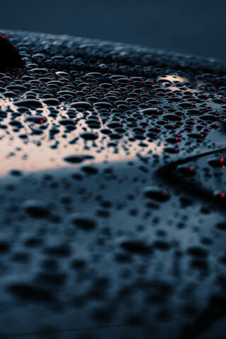Glistening Reflections: Nature's Artistry