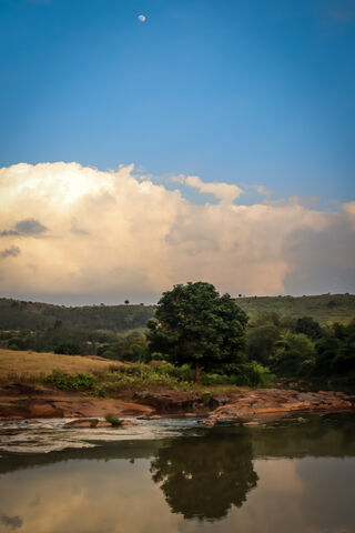 Reflections of Serenity: The Water Miracle