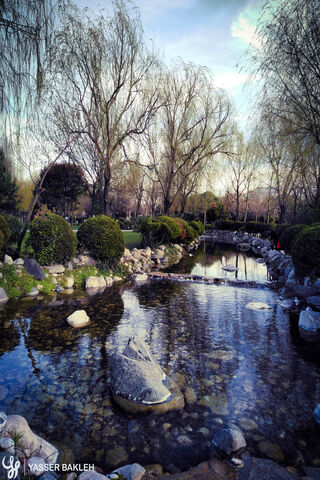 Tranquil Reflections at YAB River 🌊🌳