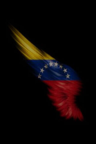Wings of Freedom: A Tribute to Venezuela 🇻🇪✨