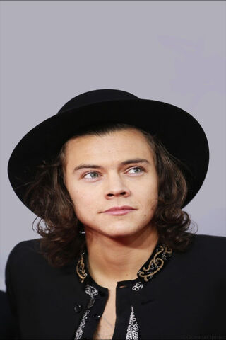 Harry Styles TwT