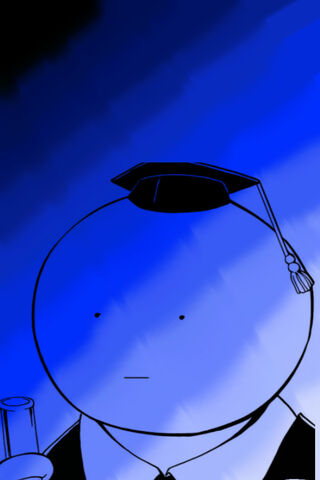 Wisdom in Shadows: The Ombre Sensei