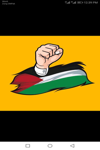 Palestine Flag