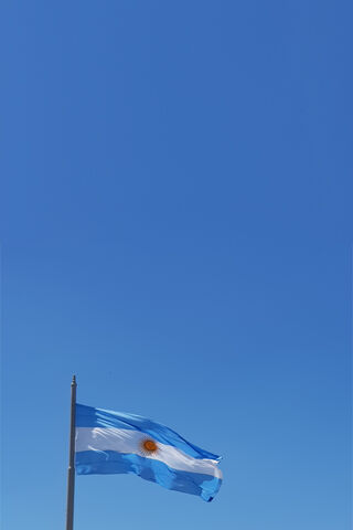 Waving Proud: The Heart of Argentina 🇦🇷