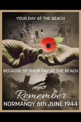 A Day to Remember: Honoring D-Day 🌊🌺