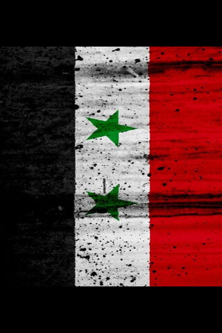 Symbol of Resilience: The Syrian Flag 🇸🇾