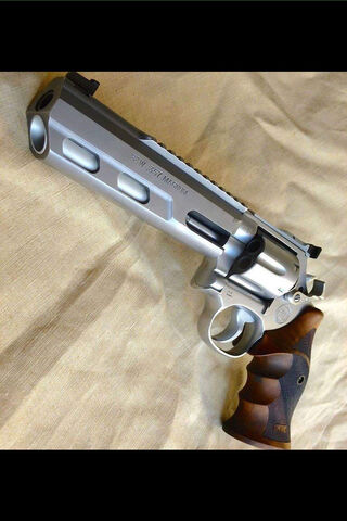 Precision Power: The Art of Firearms