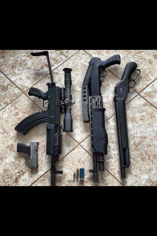 Arsenal Showcase: A Glimpse into Firepower 🔫