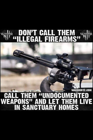 The Controversial Conversation on Firearms 🔫