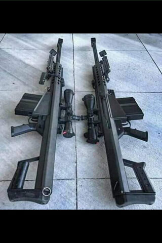 Powerful Precision: The Art of Firearms