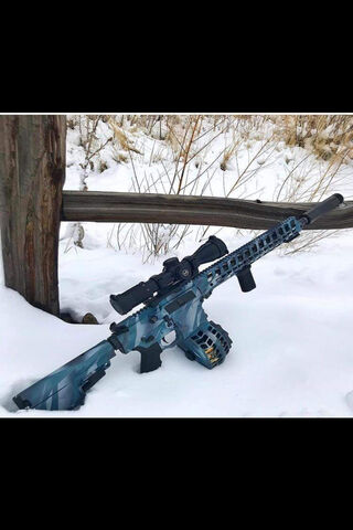 Winter Warrior: The Art of Precision