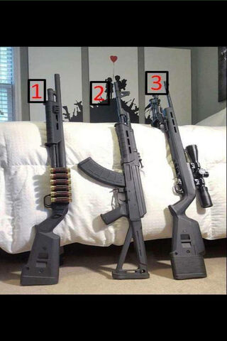 Armed and Ready: A Display of Firepower 🔫