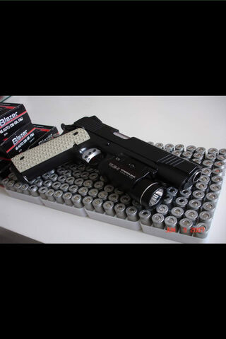 Power in Your Hands: The Gun and Its Ammo