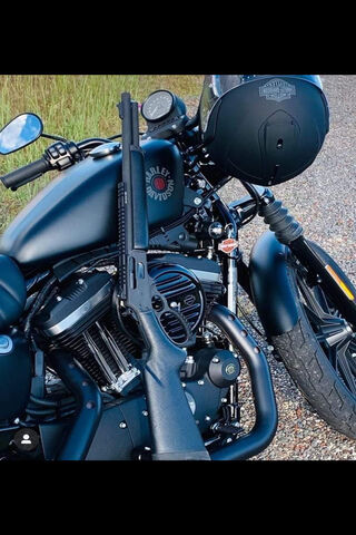 Gun