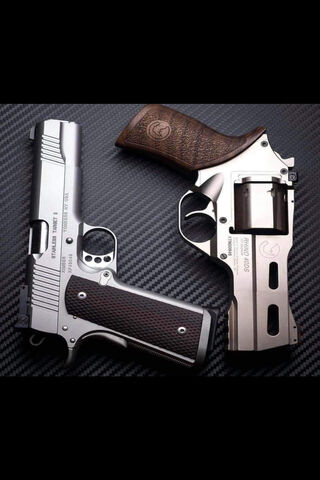 Gun