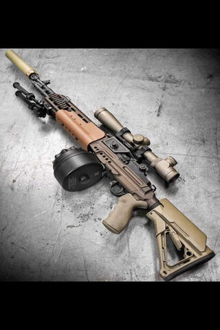 Gun