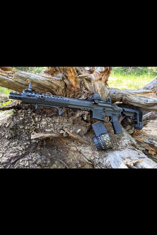 Power in Precision: The Gun