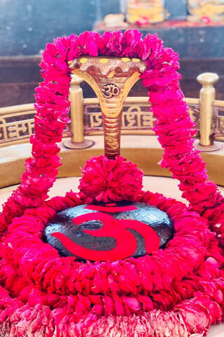 Divine Blessings of Lord Shiva 🌺🕉️