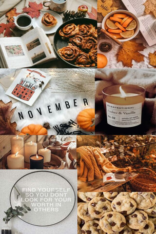 Cozy November Vibes 🍂✨