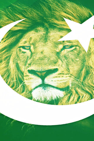Roaring Pride: The Spirit of Pakistan 🇵🇰🦁