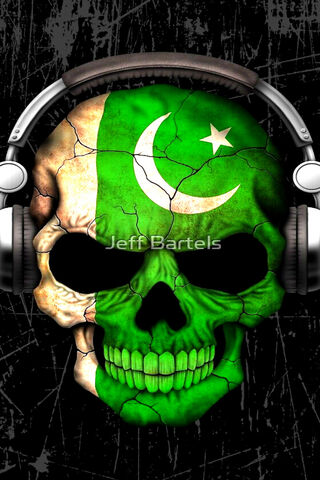 Echoes of Pakistan: A Skull's Anthem 🎶💀🇵🇰