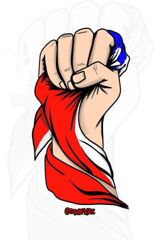 Empowered Voices: The Spirit of Yo Apruebo ✊🇨🇱