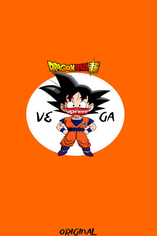 Supreme Saiyan Style! 🥋🔥