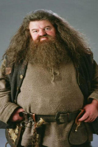 Hagrid: The Gentle Giant of Hogwarts 🧙 ✨