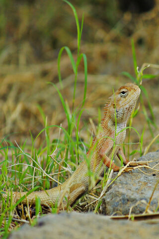 Sahil Photography