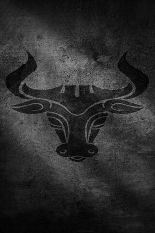 Mystic Bull: The Essence of Strength
