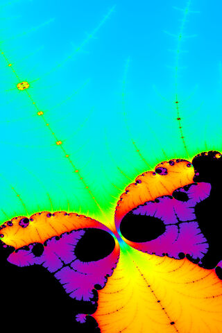 Fluttering Colors of Chaos 🌈✨