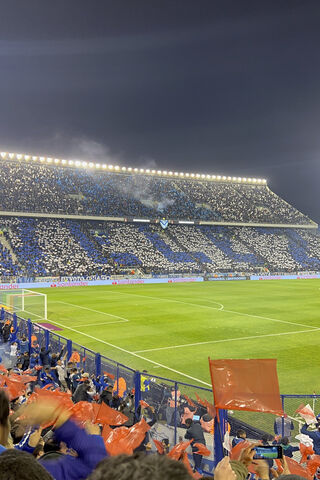 Vibrant Spirit of Mosaico Vélez 🎉⚽