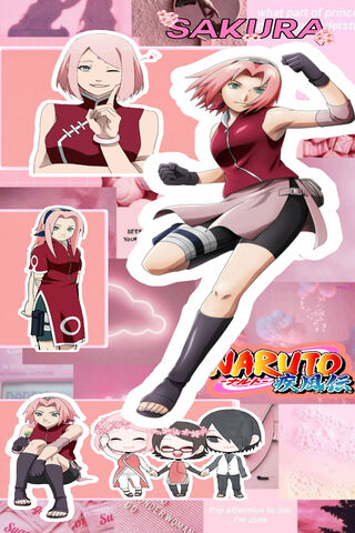 Sakura Wallpaper - Download to your mobile from PHONEKY