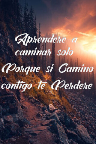 Embracing Solitude: A Journey Within 🌄✨