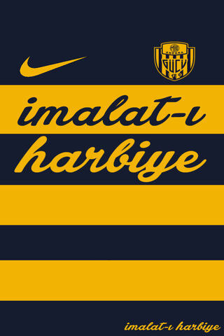 Ankaragücü Spirit: The Heart of the Game! ⚽️💛💙