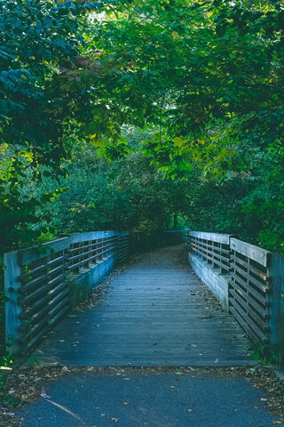 Bridge Path