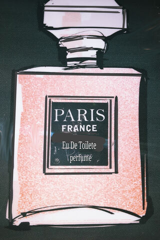 Chanel: The Essence of Elegance ✨