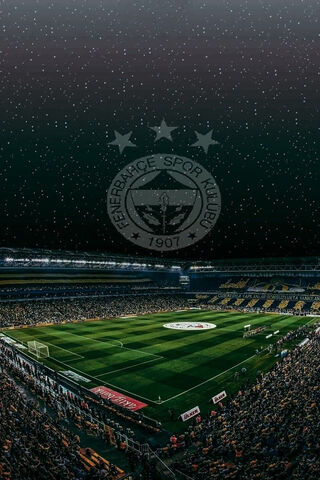 Fenerbahçe: A Stadium of Dreams ⚽✨