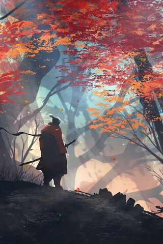 Lone Samurai