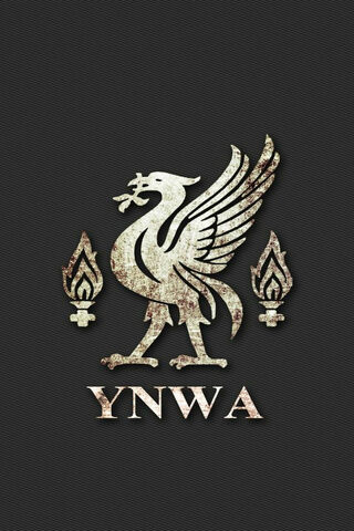 The Spirit of Liverpool FC: YNWA 🏆❤️