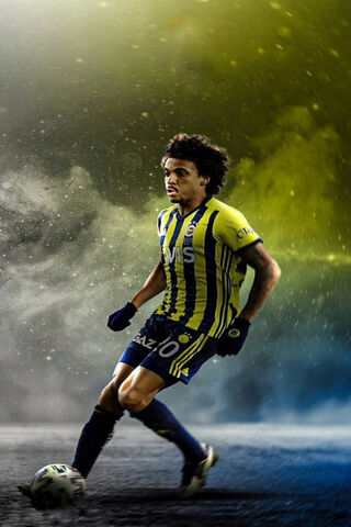 Luiz Gustavo: The Dynamic Midfielder in Action ⚽✨